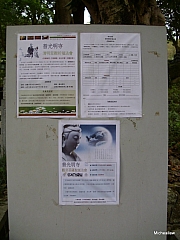 Thumbnail of pic_Wai_0183.JPG