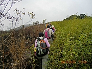 Thumbnail of pic_Wai_1064.JPG