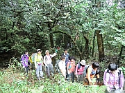 Thumbnail of pic_Wai_1088.JPG