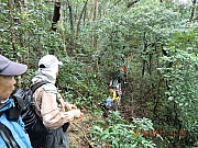 Thumbnail of pic_Wai_1098.JPG