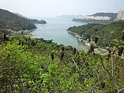 Thumbnail of pic_CW_Leung_06.JPG