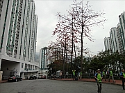 Thumbnail of pic_Eddie_Lui_008.JPG