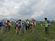 Thumbnail of pic_YL_Wong_015.JPG