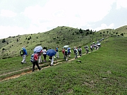 Thumbnail of P4220075.JPG