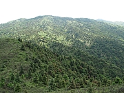 Thumbnail of pic_Billy_27.JPG