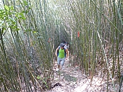 Thumbnail of pic_CW_Leung_15.JPG