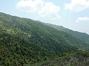 Thumbnail of pic_Victor_Li_38.JPG