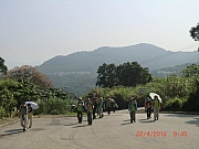 Thumbnail of pic_Wai_011.JPG