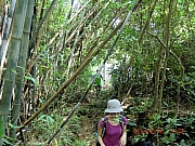 Thumbnail of pic_Wai_024.JPG
