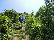 Thumbnail of pic_Wai_111.JPG