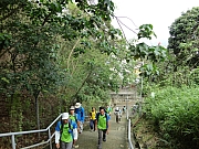 Thumbnail of pic_Eddie_Lui_027.JPG