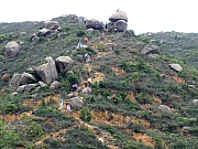 Thumbnail of P5130067.JPG