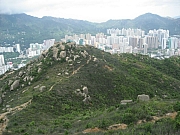 Thumbnail of pic_CC_Li_088.JPG