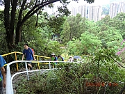 Thumbnail of pic_Wai_030.JPG