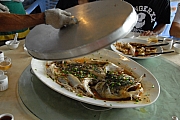 Thumbnail of pic_CW_Leung_176.JPG
