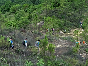 Thumbnail of P6030125.JPG