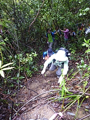 Thumbnail of pic_CW_Leung_12.JPG