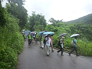 Thumbnail of pic_CW_Leung_04.JPG