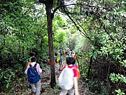Thumbnail of P6240020.JPG