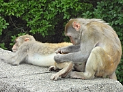Thumbnail of pic_Eddie_Lui_74.JPG