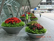 Thumbnail of pic_FC_Chan_01.JPG