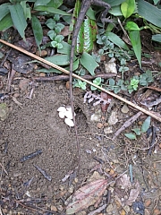 Thumbnail of pic_YL_Wong_084.JPG