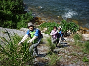Thumbnail of pic_CW_Leung_30.JPG