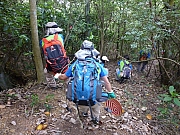 Thumbnail of pic_CW_Leung_30.JPG