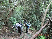 Thumbnail of pic_Wai_030.JPG