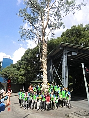 Thumbnail of pic_Wai_056.JPG