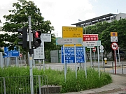 Thumbnail of pic_YL_Wong_46.JPG