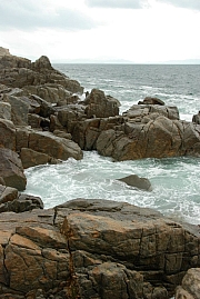 Thumbnail of pic_Billy_151.JPG
