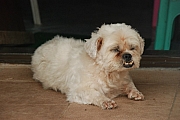 Thumbnail of pic_Billy_216.JPG