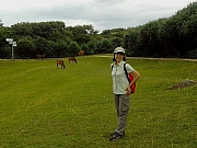 Thumbnail of pic_KM_Law_33.jpg