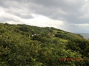 Thumbnail of pic_Wai_113.JPG