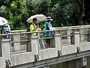 Thumbnail of P8190053.JPG