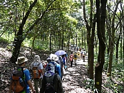 Thumbnail of pic_Wai_105.JPG