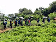 Thumbnail of P9090044.JPG