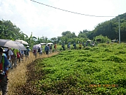 Thumbnail of pic_CC_Li_22.JPG