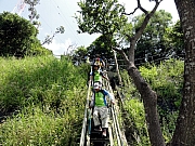 Thumbnail of P9160047.JPG