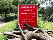 Thumbnail of P9160054.JPG