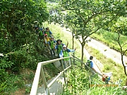 Thumbnail of pic_CC_Li_61.JPG