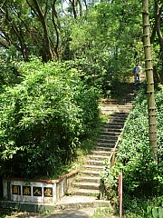 Thumbnail of pic_CW_Leung_54.JPG