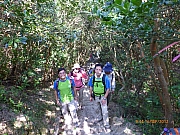 Thumbnail of pic_Wai_10.JPG