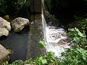 Thumbnail of pic_CW_Leung_18.JPG
