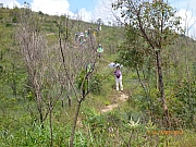 Thumbnail of pic_Wai_68.JPG