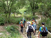 Thumbnail of P9300180.JPG