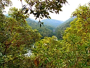 Thumbnail of pic_Amy_Fong_004.JPG