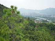 Thumbnail of pic_CW_Leung_93.JPG