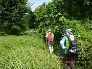 Thumbnail of pic_CC_Li_077.JPG